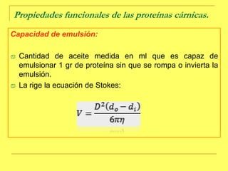 Es la más abundante del músculo esquelético.