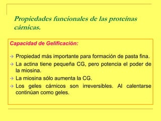 Se une a la actina para formar actomiosina durante contracción muscular.Proteínas de la carneMiosina:En presencia de ATP el complejo actomiosina se rompe, formando actina libre y miosina-ATP. A continuación el ATP unido a la miosina es hidrolizado dejándo a la miosina en forma de miosina-ADP-Pi, que tiene alta afinidad por la actina. Nuevo ciclo.