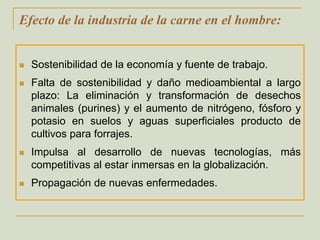 Efecto de la industria de la carne en el hombre:Sostenibilidad de la economía y fuente de trabajo.Falta de sostenibilidad y daño medioambiental a largo plazo: La eliminación y transformación de desechos animales (purines) y el aumento de nitrógeno, fósforo y potasio en suelos y aguas superficiales producto de cultivos para forrajes. Impulsa al desarrollo de nuevas tecnologías, más competitivas al estar inmersas en la globalización.Propagación de nuevas enfermedades.