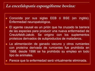 La encefalopatía espongiforme bovina:Conocida por sus siglas EEB ó BSE (en inglés). Enfermedad neuropatológica.El agente causal es un prión que ha cruzado la barrera de las especies para producir una nueva enfermedad de Creutzfeldt-Jakob. Se origino con los suplementos proteicos derivados de subproductos de mataderos. La alimentación de ganado vacuno y otros rumiantes con proteína derivada de rumiantes fue prohibida en 1988. desde 1996 se ha prohibido su empleo en todo tipo de animales.Parece que la enfermedad será virtualmente eliminada.