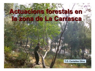 Actuacions forestals enActuacions forestals en
la zona de La Carrascala zona de La Carrasca
T.O. Centelles Oliva
 