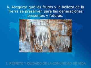 I. RESPETO Y CUIDADO DE LA COMUNIDAD DE VIDA 4. Asegurar que los frutos y la belleza de la Tierra se preserven para las generaciones presentes y futuras. 