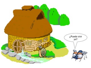 ¿Puedo vivir yo?