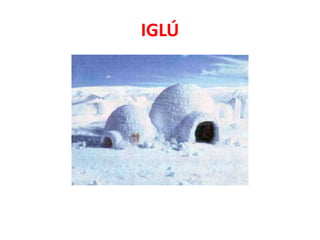 IGLÚ
 