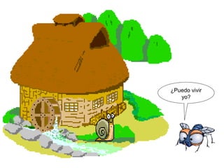 ¿Puedo vivir
yo?