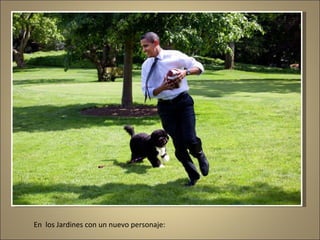 En  los Jardines con un nuevo personaje: 