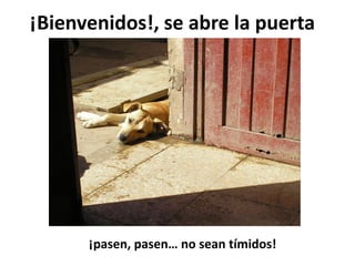 ¡Bienvenidos!, se abre la puerta




      ¡pasen, pasen… no sean tímidos!
 