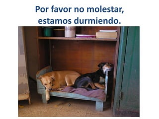 Por favor no molestar,
 estamos durmiendo.
 