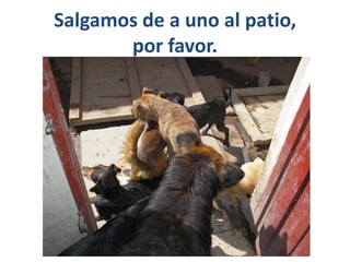 Salgamos de a uno al patio,
       por favor.
 