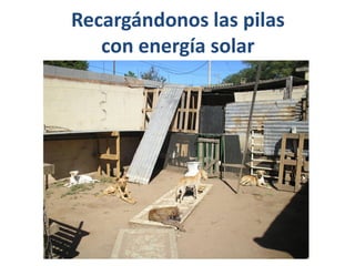 Recargándonos las pilas
   con energía solar
 