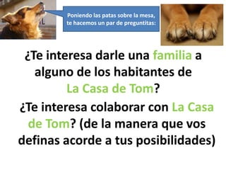 Poniendo las patas sobre la mesa,
        te hacemos un par de preguntitas:




 ¿Te interesa darle una familia a
   alguno de los habitantes de
         La Casa de Tom?
¿Te interesa colaborar con La Casa
  de Tom? (de la manera que vos
definas acorde a tus posibilidades)
 