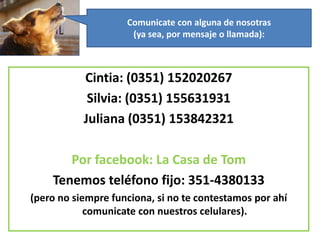 Comunicate con alguna de nosotras
                     (ya sea, por mensaje o llamada):



           Cintia: (0351) 152020267
            Silvia: (0351) 155631931
           Juliana (0351) 153842321

       Por facebook: La Casa de Tom
    Tenemos teléfono fijo: 351-4380133
(pero no siempre funciona, si no te contestamos por ahí
            comunicate con nuestros celulares).
 