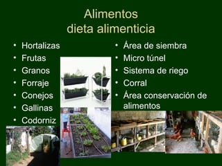 Alimentos
                 dieta alimenticia
•   Hortalizas            •   Área de siembra
•   Frutas                •   Micro túnel
•   Granos                •   Sistema de riego
•   Forraje               •   Corral
•   Conejos               •   Área conservación de
•   Gallinas                  alimentos
•   Codorniz
 
