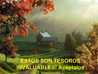 ESTOS SON TESOROS INVALUABLES! Acéptalos