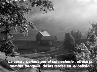 La casa , bañada por el sol naciente , ofrece la
 sombra tranquila de las tardes en el balcón.
 