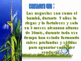 Los negocios son como el bambú, durante  7 años lo riegas y lo fortaleces y solo en 3 meses alcanzan alturas de 30mts, durante todo ese tiempo han estado formando raíces profundas y sólidas para aguantar cualquier vendaval .  Considera que  ; 