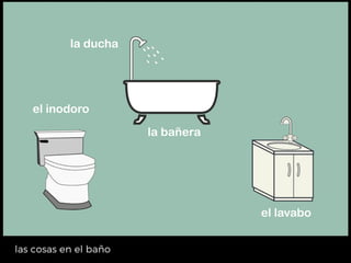 el váter
la bañera
la ducha
el lavabo
el inodoro
la ducha
la bañera
el lavabo
 