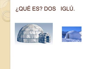 ¿QUÉ ES? DOS IGLÚ.
 