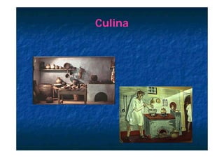 Culina
 
