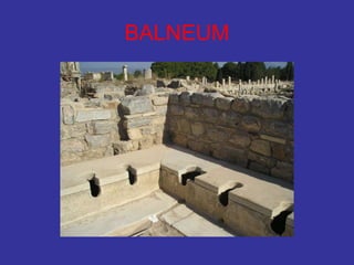 BALNEUM 