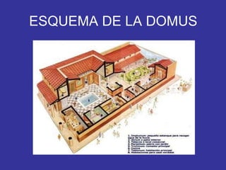 ESQUEMA DE LA DOMUS 