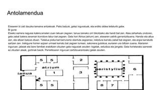 Antolamendua
Etxearen bi zati dauzka tamaina antzekoak. Patio batzuk, gelaz inguratuak, eta erdiko aldea teilaturik gabe.
Bi gune:
Etxeko sarrera nagusia kalera ematen zuen lekuan zegoen. Ianua izeneko orri bikoitzeko ate handi bat zen. Atea zeharkatu ondoren,
gela zabal batera zeraman korridore labur bat zegoen. Gela hori Atrioa (atrium) zen, etxearen zatirik garrantzitsuena. Handia eta altua
zen, eta altzari batzuk zituen. Teilatua pixka bat barrurantz okertuta zegoenez, irekidura karratu zabal bat zegoen, eta argia karratutik
sartzen zen. Irekigune horren azpian urmael karratu bat zegoen lurrean, sakonera gutxikoa, euriaren ura biltzen zuena. Atariaren
inguruan, jabeak eta bere familiak erabiltzen zituzten gela nagusiak zeuden: logelak, estudioa eta jangela. Gela horietarako sarrerek
ez zituzten ateak, gortinak baizik. Peristilioaren inguruan zerbitzuarentzako gelak zeuden.
 
