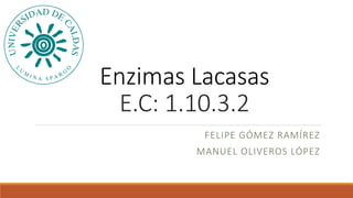 Enzimas Lacasas
E.C: 1.10.3.2
FELIPE GÓMEZ RAMÍREZ
MANUEL OLIVEROS LÓPEZ
 