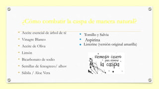 ¿Cómo combatir la caspa de manera natural?
• Aceite esencial de árbol de té
• Vinagre Blanco
• Aceite de Oliva
• Limón
• Bicarbonato de sodio
• Semillas de fenogreco/ alhov
• Sábila / Aloe Vera
Tomillo y Salvia
Aspirina
Listerine (versión original amarilla)
 