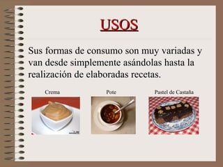USOSUSOS
Sus formas de consumo son muy variadas y
van desde simplemente asándolas hasta la
realización de elaboradas recetas.
PoteCrema Pastel de Castaña
 