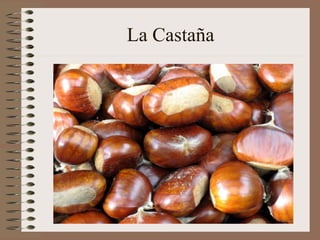 La Castaña
 