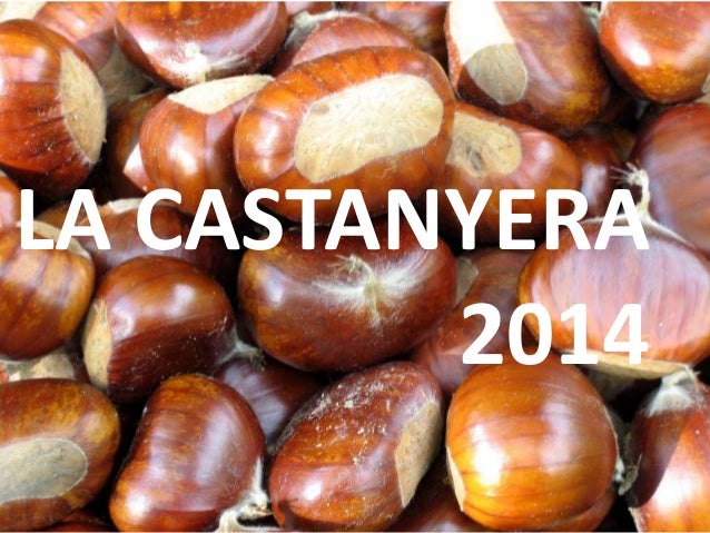 La castanyera 2014