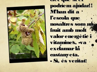 crec que si elcrec que si el
podríem ajudar!!podríem ajudar!!
M’han dit aM’han dit a
l’escola quel’escola que
nosaltres som unnosaltres som un
fruit amb moltfruit amb molt
valorenergètic ivalorenergètic i
vitamines, -vavitamines, -va
exclamarlaexclamarla
castanyeta.castanyeta.
- Sí, és veritat- Sí, és veritat!!
 