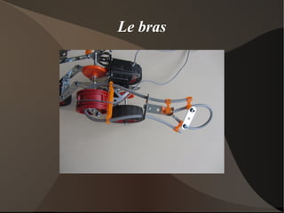 Le bras