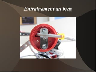 Entrainement du bras