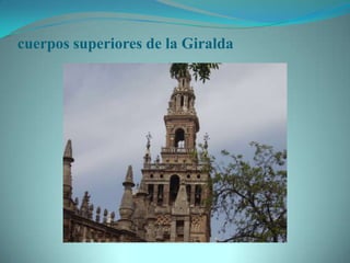 cuerpos superiores de la Giralda
 