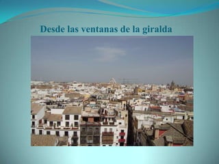 Desde las ventanas de la giralda
 