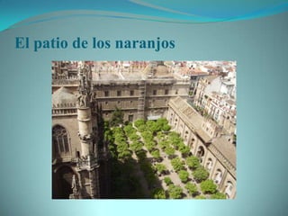 El patio de los naranjos
 