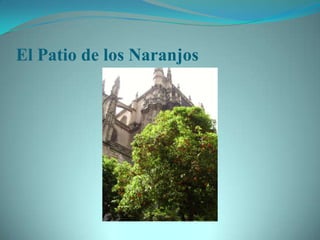 El Patio de los Naranjos
 