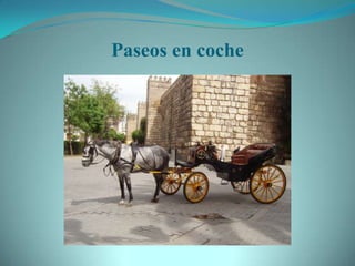 Paseos en coche
 