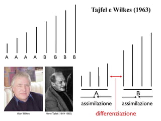 B
A A A A B B B B
Tajfel e Wilkes (1963)
A
assimilazione
differenziazione
assimilazione
Henri Tajfel (1919-1982)Alan Wilkes
 