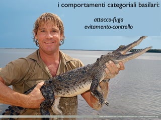 i comportamenti categoriali basilari:	

!
attacco-fuga	

evitamento-controllo
 