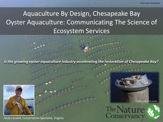 Aquaculture By Design, Chesapeake Bay
Oyster Aquaculture: Communicating The Science of
Ecosystem Services
Is the growing oyster aquaculture industry accelerating the restoration of Chesapeake Bay?
Andy Lacatell, Conservation Specialist, Virginia
Photo credit: Dave Jasinski
Photo credit: Andy Lacatell
 