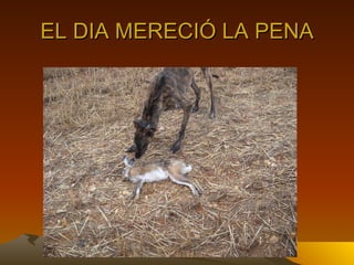 EL DIA MERECIÓ LA PENA 