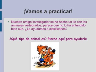 ¡Vamos a practicar!
● Nuestro amigo investigador se ha hecho un lío con los
animales vertebrados, parece que no lo ha entendido
bien aún. ¿Le ayudamos a clasificarlos?
¿Qué tipo de animal es? Pincha aquí para ayudarle
 