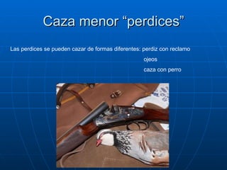 Caza menor “perdices” Las perdices se pueden cazar de formas diferentes: perdiz con reclamo  ojeos  caza con perro 