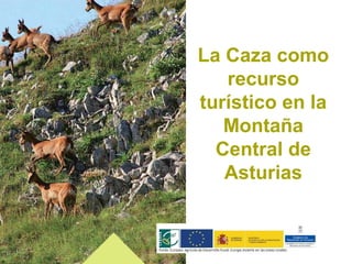 La Caza como
   recurso
turístico en la
   Montaña
  Central de
   Asturias
 