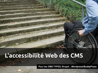 L'accessibilité Web des CMS
           Pour les CMS TYPO3, Drupal ...Wordpress/BuddyPress
 