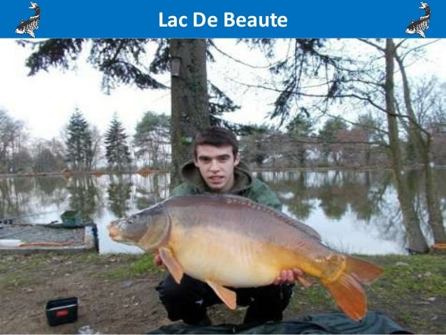 All information about French Carp Fishing with