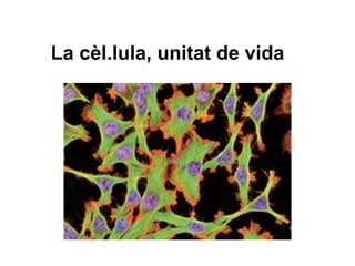 La cèl.lula, unitat de vida
 