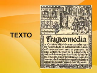 TEXTO
 